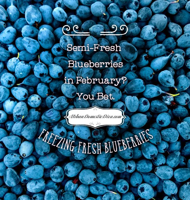 COOKING: Semi-fresh blueberries in January? Freezing fruit.
