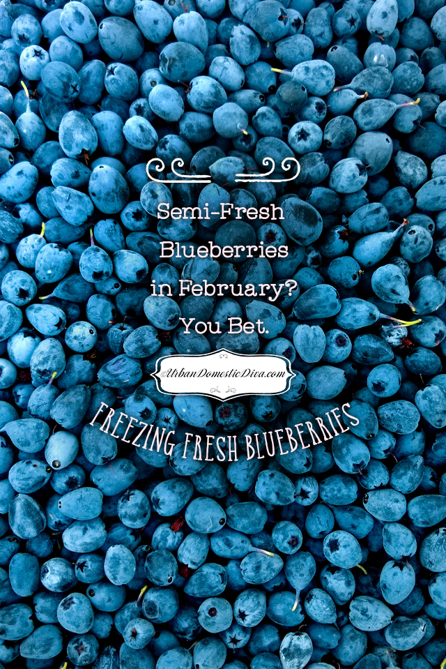 how to freeze blueberries