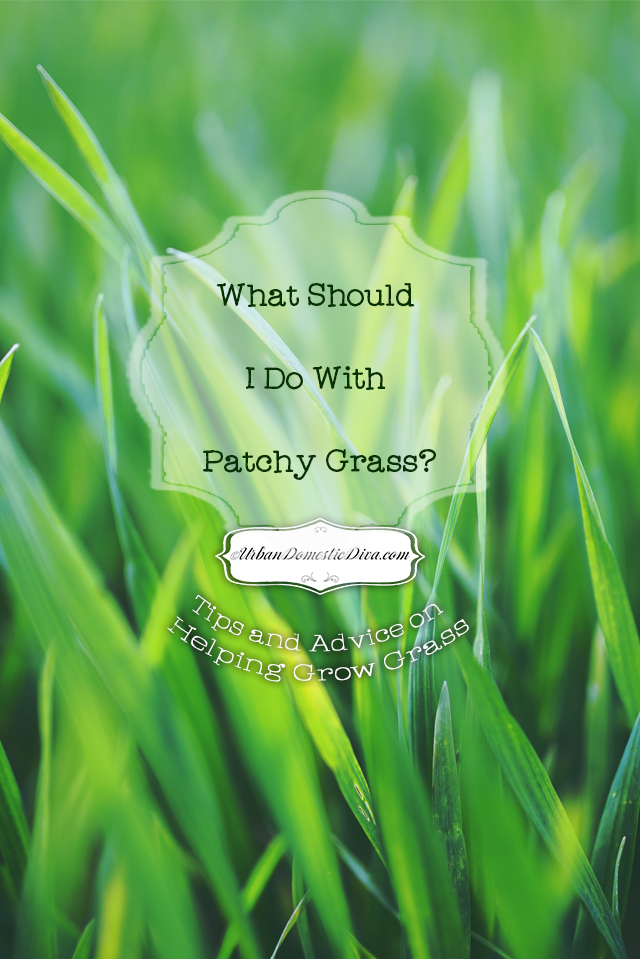 how to fix patchy grass and care for grass without chemicals