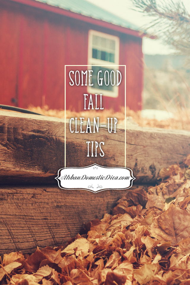 fall garden chores and tip