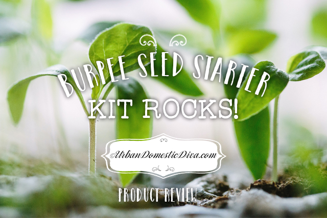 Burpee Seed Starter Kit really works