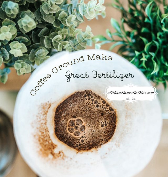 GARDENING: Coffee Grounds make Great Fertilizer