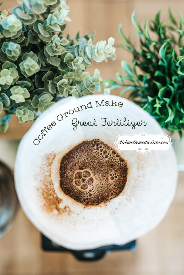 garden hack-coffee grounds make great fertilizer