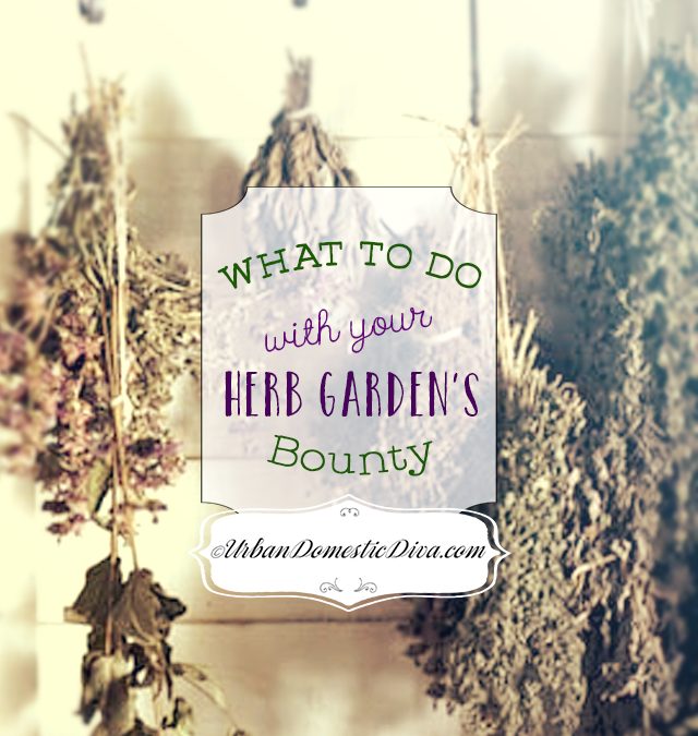 GARDENING/COOKING: What to do with your herb garden’s bounty