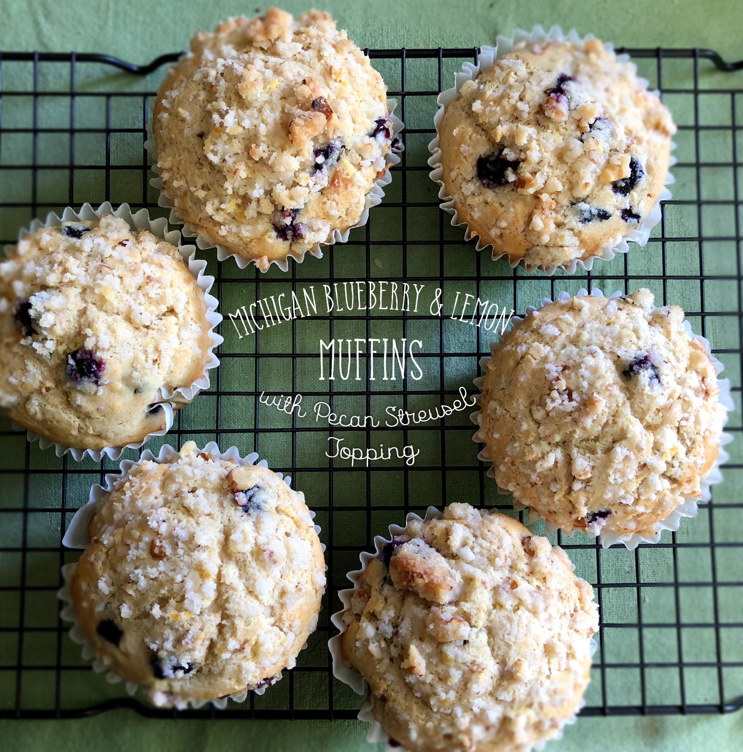 Media list UPLOADING 1 / 1 – BlueberryStreuselMuffins.jpg ATTACHMENT DETAILS Blueberry Streusel Muffins