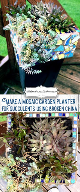 CRAFTS: Make a Mosaic Garden Planter for Succulents using Broken China