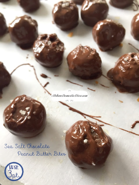 RECIPE: Weight Watcher Friendly, Frozen Sea Salt Chocolate Peanut Butter Bites, 3 pts each