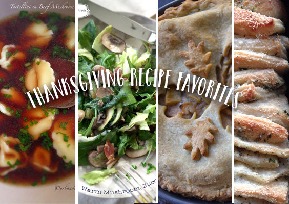 Best Thanksgiving Recipe Ideas