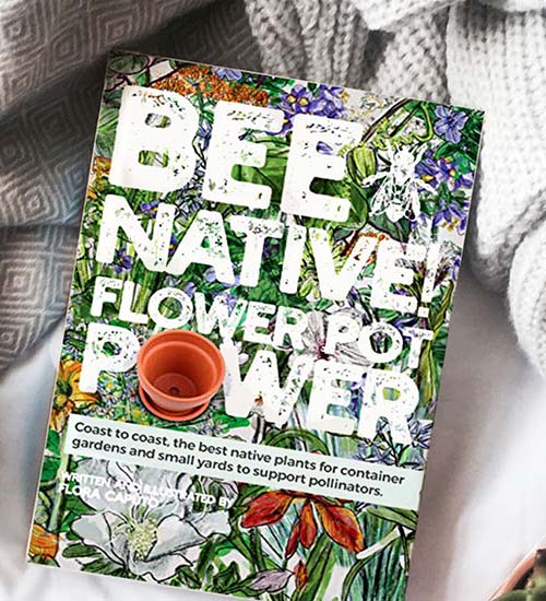 Bee Native Flower Pot Power Book