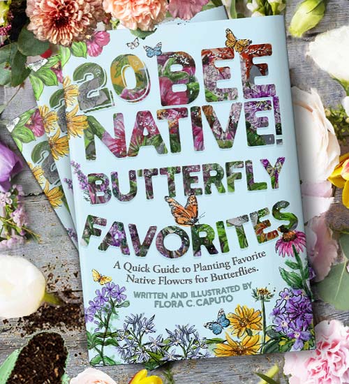 20 Bee Native butterfly favorites book