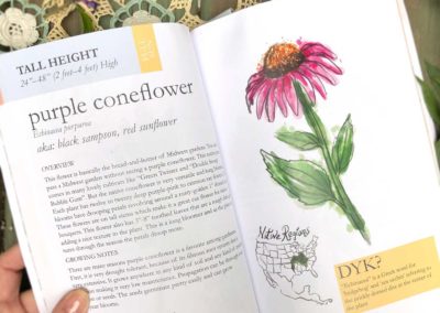 Inside Midwest Native Flower Plant Guide