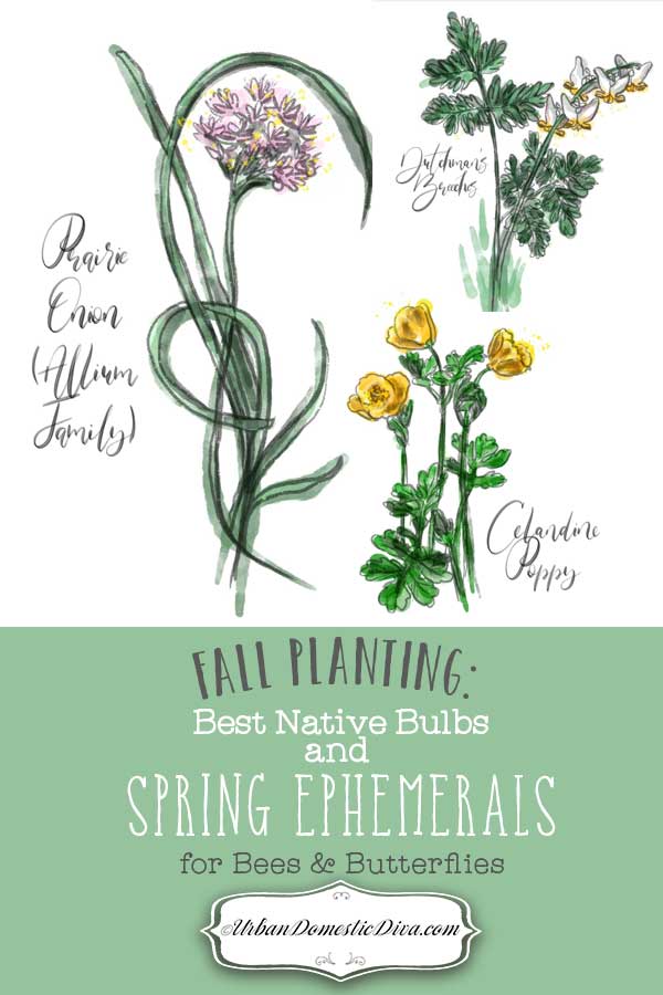 Fall Planting Best Native Bulbs and Spring Ephemerals