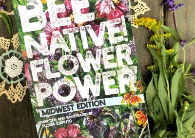 Midwest Native Flower Plant Guideside Midwest Native Flower Plant Guide