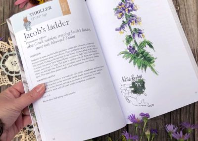 Inside Native plants for containers and small gardens book