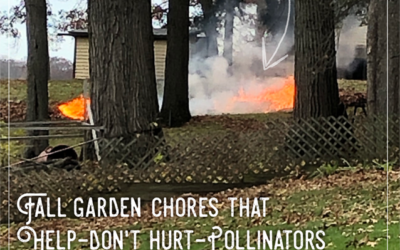 Fall Garden Chores that Help-Don’t Hurt-Pollinators and Biodiversity, “Wild Wednesdays!”
