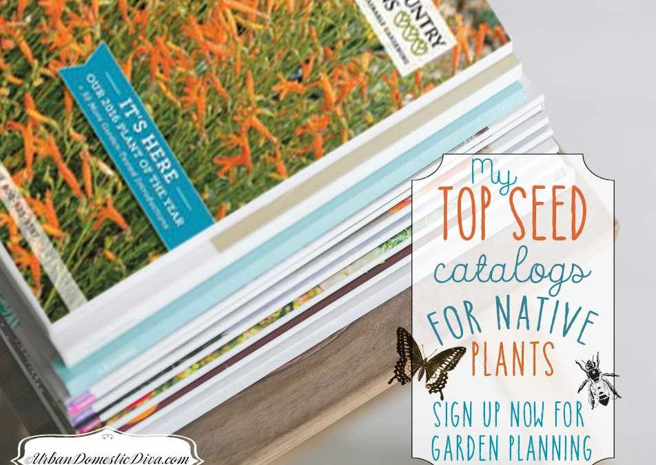 My Top Seed Catalogs for Native Flowers and Plants for 2021, “Wild Wednesdays!”